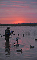 duck hunting on White River